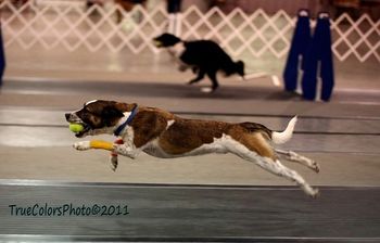 Photo credit True Colors Photography
