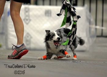 Photo credit True Colors Photography
