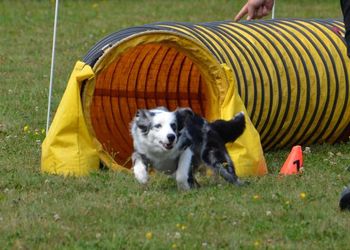 Photo credit Shona Giffin-Thirsk

