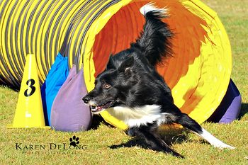 Photo credit Karen DeLong Photography

