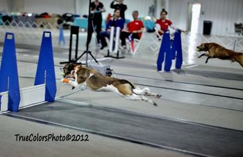 Photo credit True Colors Photography
