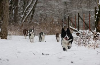 Photo credit Kim Russell
