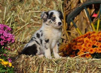 Photo credit: Ivey Photography

