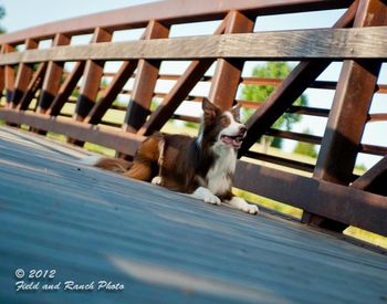 Photo credit Field and Ranch photography
