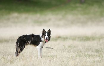 Photo credit SunRunner Photography
