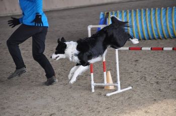 Photo credit Shona Giffin-Thirsk
