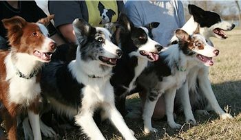 Envy (x Dart 2005), Jedi, Lust (x Dart 2006), Pyscho (x Sooner 2008)

