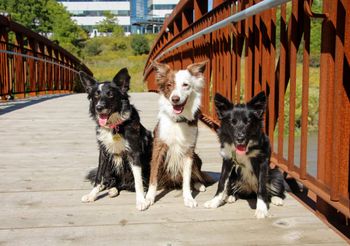 Photo by Claudia Kwiatkowski
