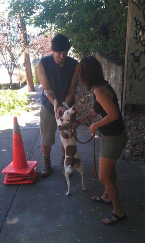 Photo credit Debbie Lazaro Filming on the set of HBO series "Girls." Crime is pictured with cast member/actor Adam Driver
