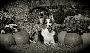 Photo credit Ivey Photography
