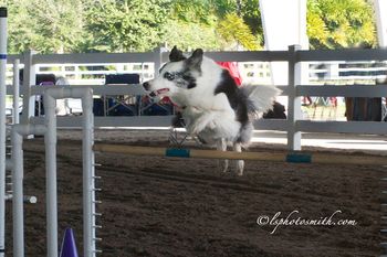 Photo credit LSPhotosmith

