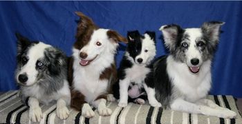 Sooner, Envy, Exclusive, and grandmother Jedi
