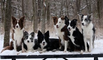 Photo credit Kim Russell

