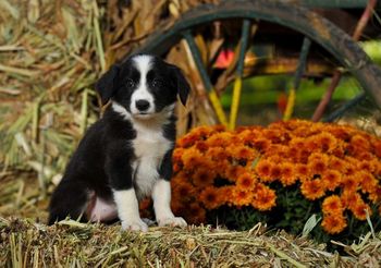 Photo credit: Ivey Photography
