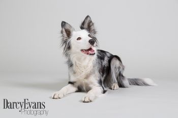 Photo credit Darcy Evans Photography

