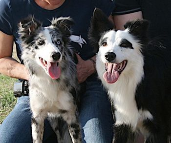 Blink (x Sooner) and Vixen
