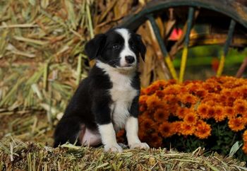 Photo credit: Ivey Photography
