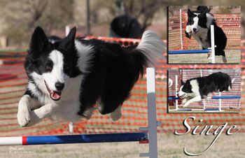 Photo credit Pup Art
