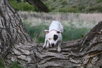Photo credit Bobbi Urness

