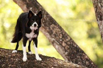 Photo credit Nicole Pierce Photography
