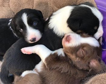  Vic x Ego  produced  Muse, Entitled, Atlas, Onyx and Jock
