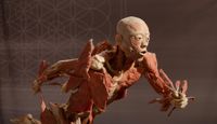 In Nature's Studio - Real Bodies 