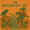 Irish Bouzouki Lesson - The Shaskeen Jig Part 2