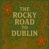 Irish Bouzouki Lesson - Rocky Road to Dublin Part 2