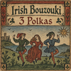ADAD Irish Bouzouki Lesson - Three Polkas 