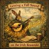 Irish Bouzouki Lesson - How to Get a Full Sound Part 2
