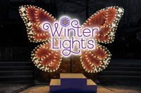 Winter Lights at the NC Arboretum