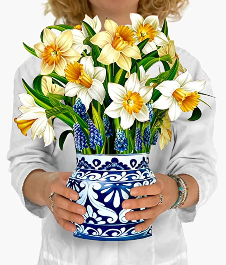 Popup Daffodils 