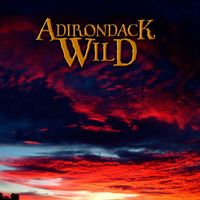 Adirondack Wild by Scott B Adams Acoustic Ensemble