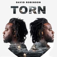 TORN by David Robinson