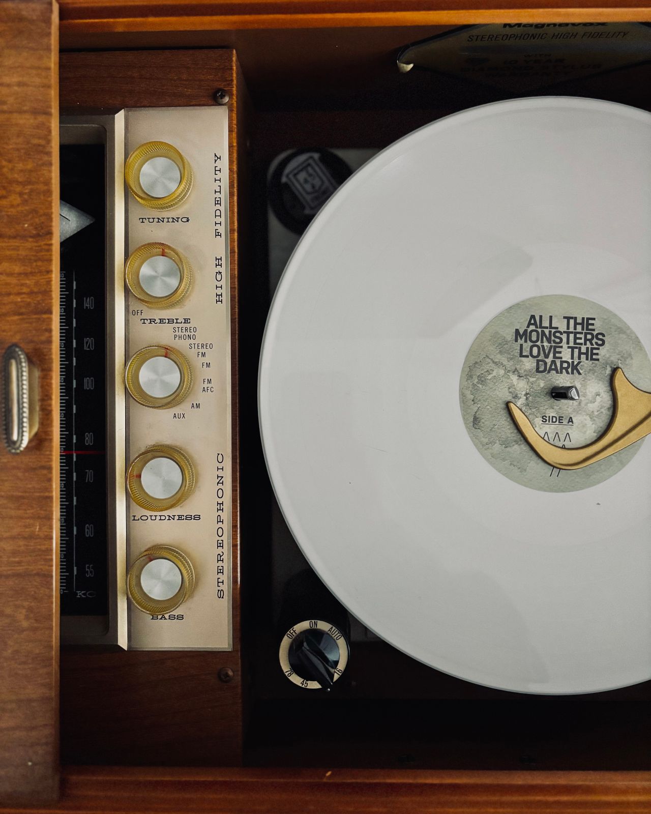 All the Monsters Love the Dark - Vinyl - Tony Halchak