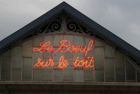 Festival, Les TED's