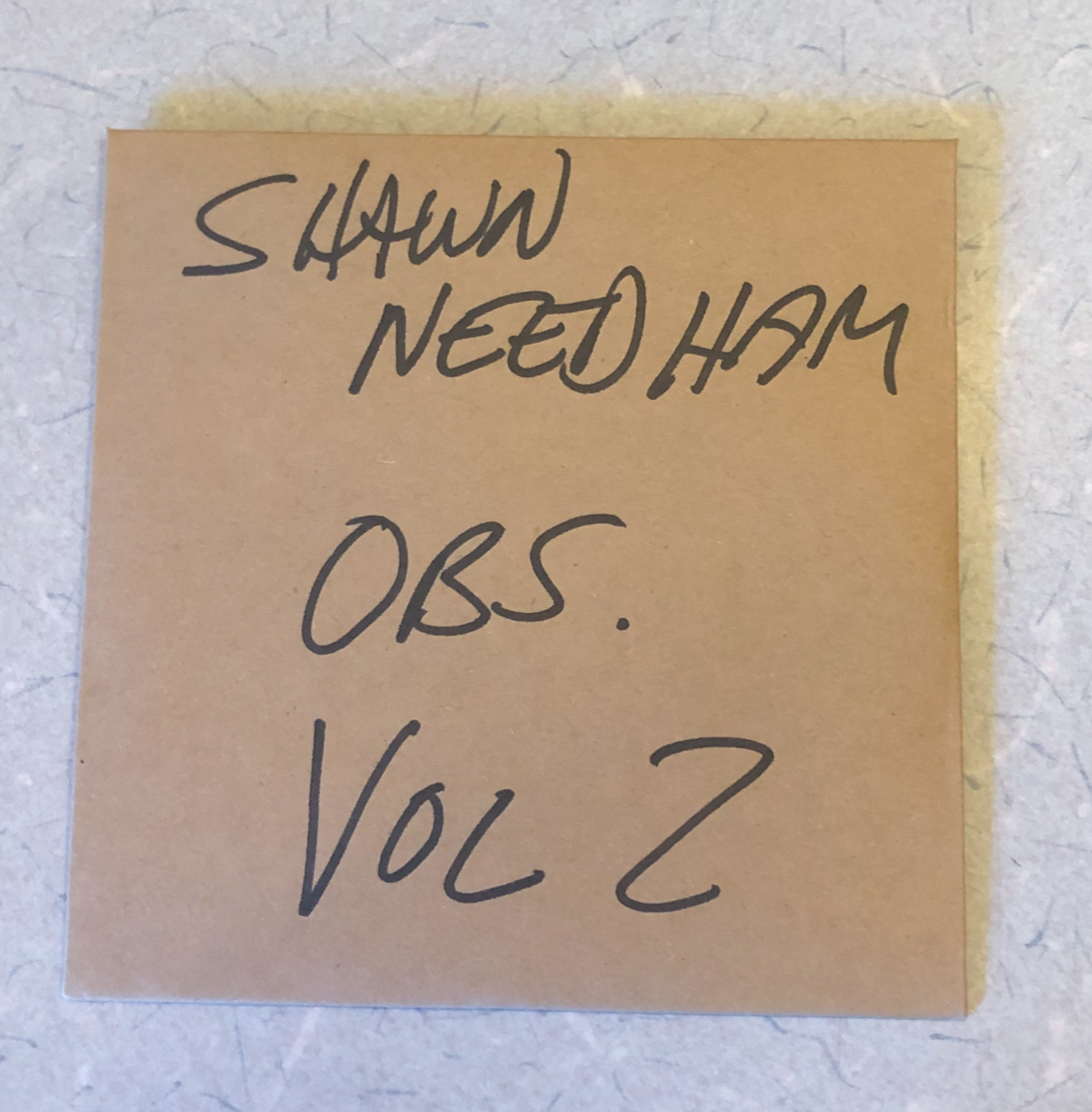 OBSERVATIONS VOL. 2 - CD