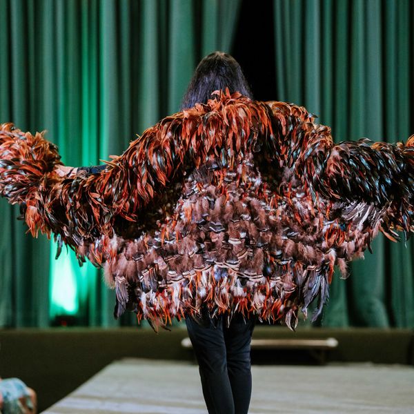 Feather Wings