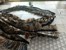 Feather Wings