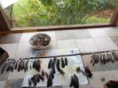Feather Wings