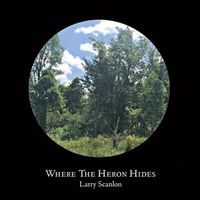 Where the Heron Hides by Larry Scanlon