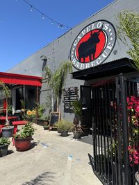 Drini & the Bad Kats Band LOVE IS LOVE Show at Capelo's Barbecue