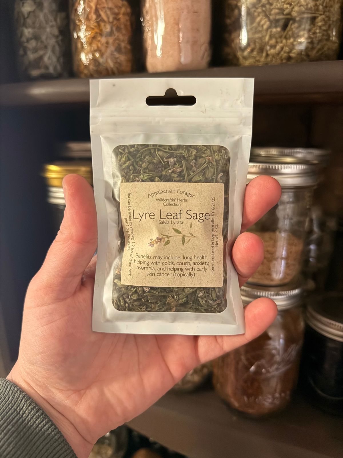 Lyre Leaf Sage 