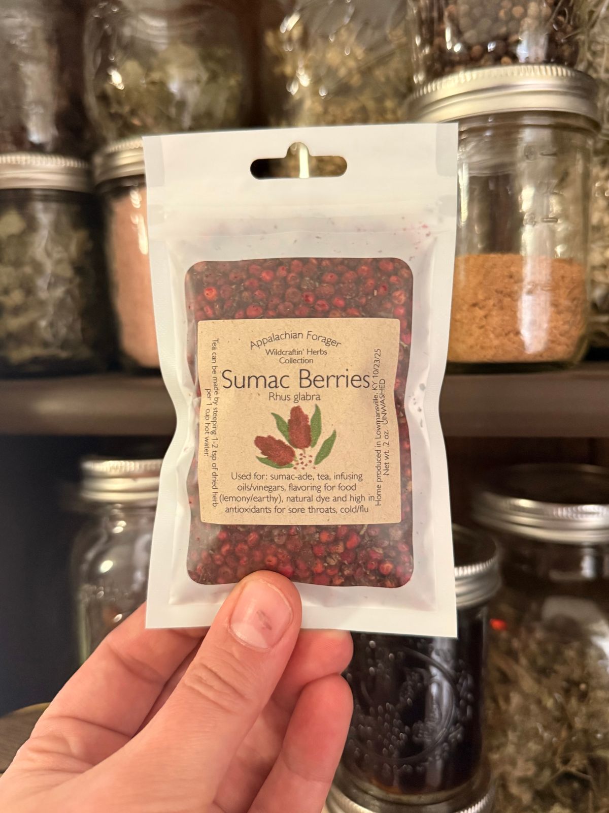 Smooth Sumac Berries 