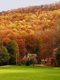 Pine Mountain Settlement School Foraging Weekend Retreat