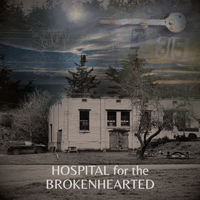 Hospital for the Brokenhearted by Mike Berman