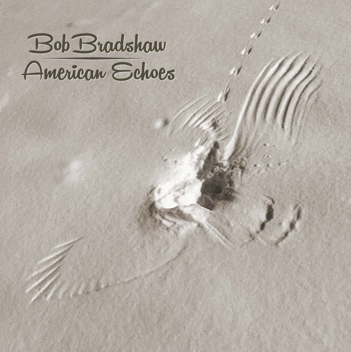 American Echoes - CD