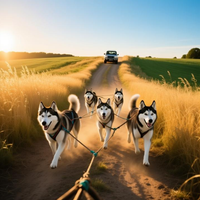 Tethered Trots 2 by WooFDriver 2026