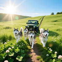 Trotting Through The Dips 2 by WooFDriver 2026