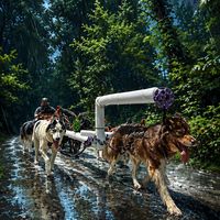 Make It Rain by WooFDriver 2026